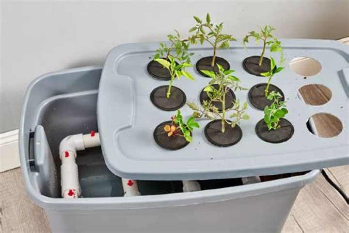 Can you make your own hydroponic garden?