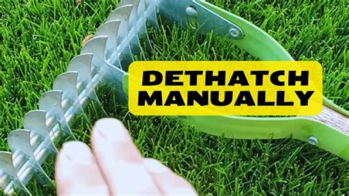 Can you manually dethatch?