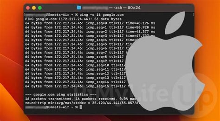 Can you ping on a Mac?