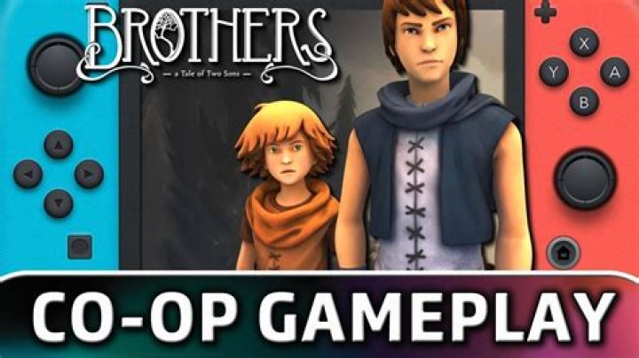 Can you play brothers a tale of two sons coop?