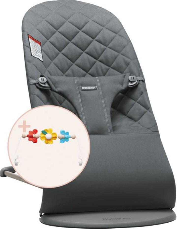 Can you put a newborn in Baby Bjorn bouncer?
