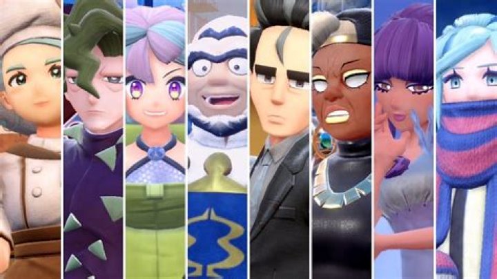 Can you refight gym leaders in platinum?