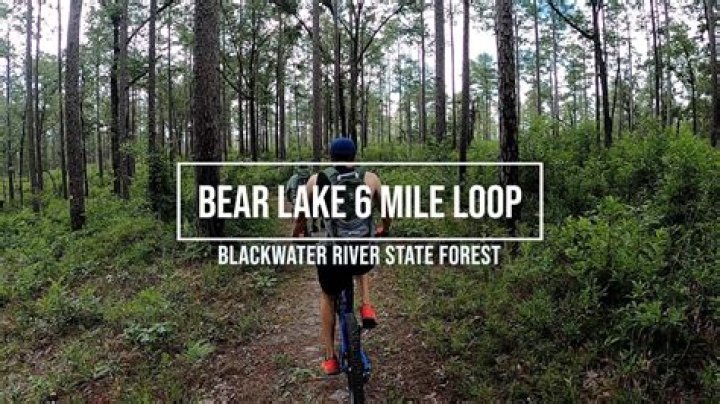 Can you ride ATV in Blackwater State Forest?