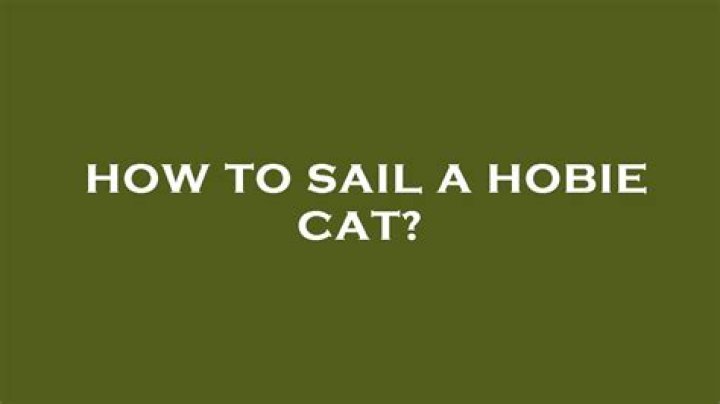 Can you sail a Hobie Cat solo?