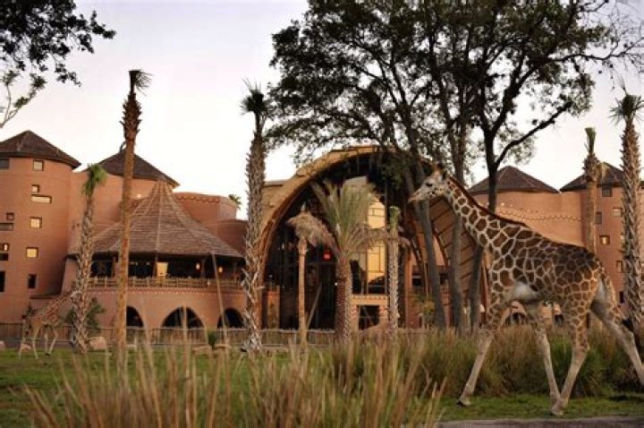 Can you stay at Disney Animal Kingdom?
