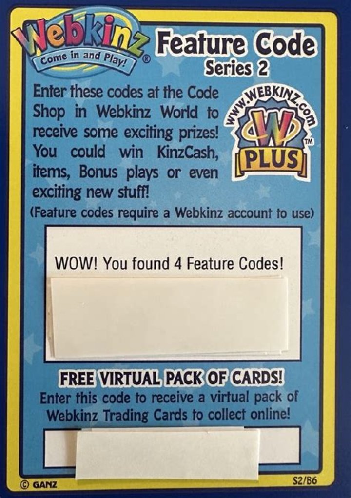 Can you still use old Webkinz codes?