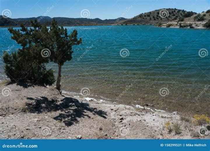 Can you swim at Bill Evans Lake?