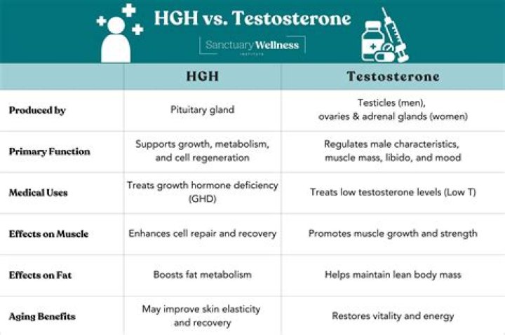 Can you take testosterone and HGH at the same time?