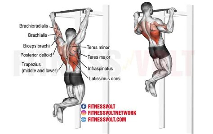 Can you train triceps with pull ups?