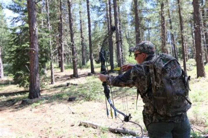 Can you use a bow during rifle season in Texas?