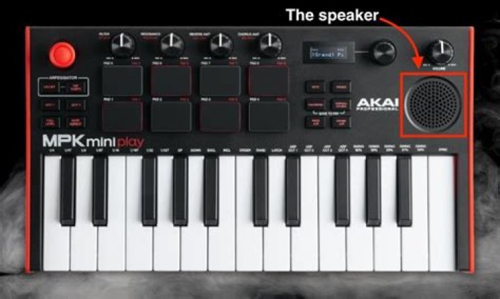 Can you use Akai MPK mini without software?
