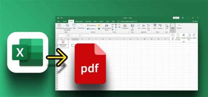 Como convertir un documento PDF en hoja de calculo de Excel?