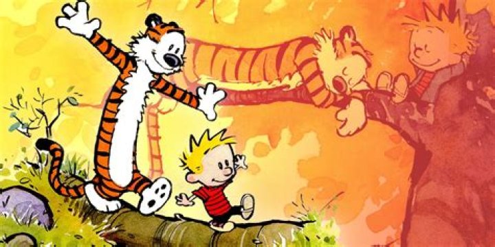 Did Calvin and Hobbes end?