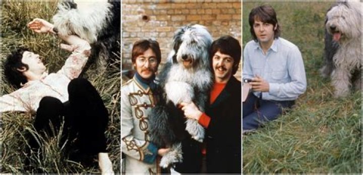 Did paul McCartney have a dog named Jet?
