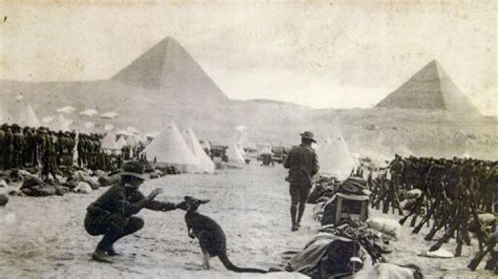 Did the Anzacs train in Egypt?
