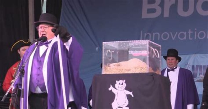 Did Wiarton Willie see shadow?