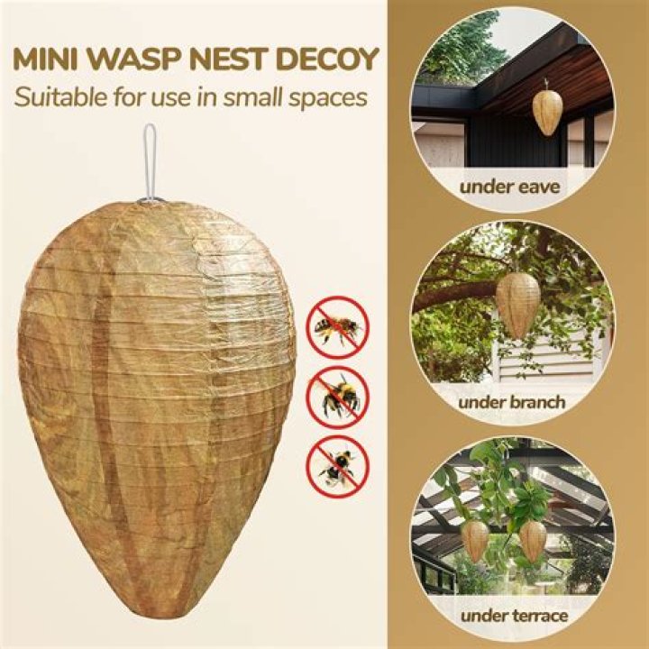 Do fake wasp nests keep yellow jackets away?