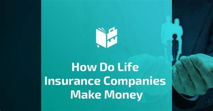 Do life insurance companies lend money?