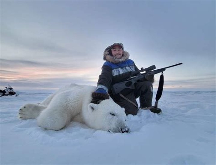 Do natives hunt bears?