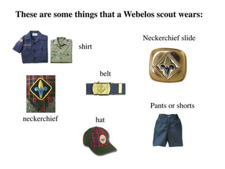 Do Webelos wear belt loops?