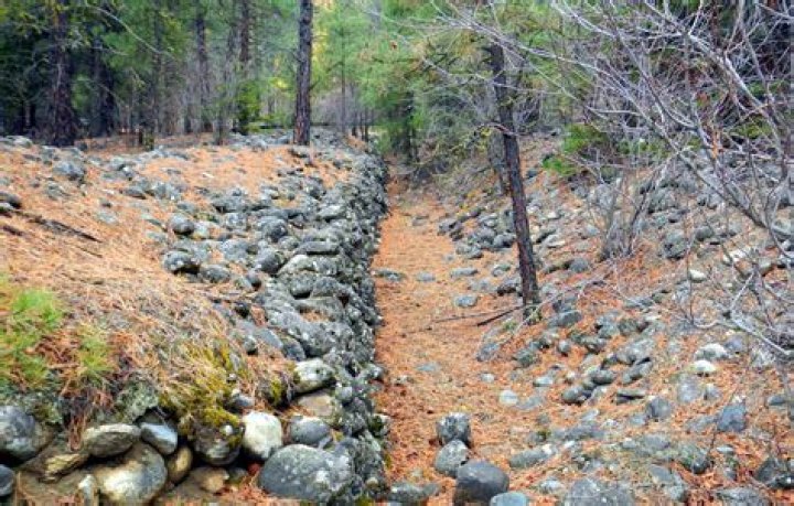 Do you own a placer claim?
