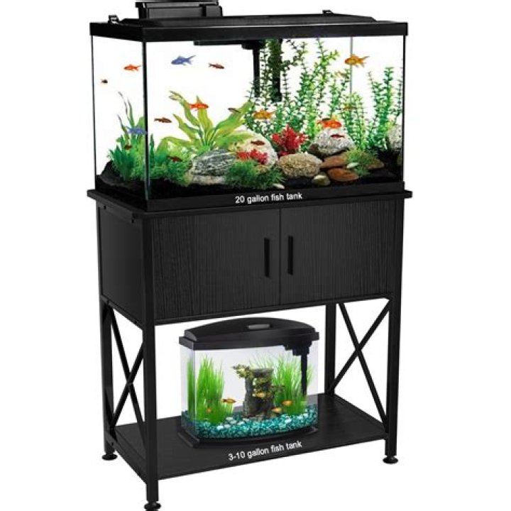 Does a 20 gallon tank need a stand?