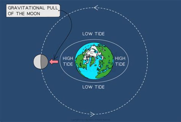 Does a full moon affect gravitational pull?