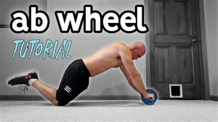 Does Abwheel build muscle?