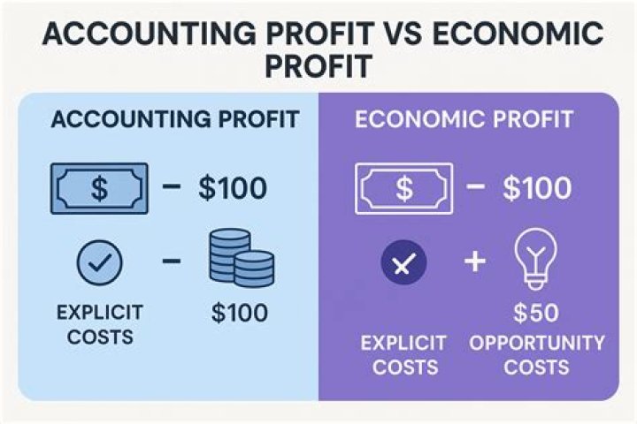 Does accounting profit vs economic profit determine how entrepreneurs allocate resources?