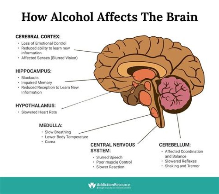 Does alcohol affect the optic nerve?