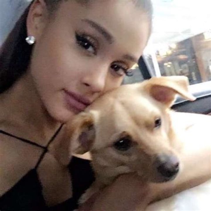 Does Ariana Grande have a dog named Sirius Black?