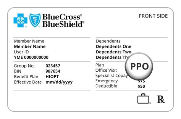 Does Blue Cross Blue Shield PPO cover dental?