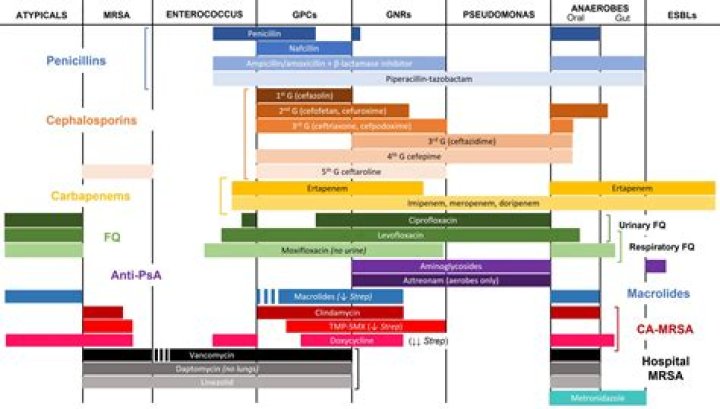 Does ceftriaxone have gram-positive coverage?