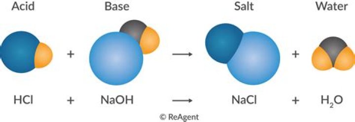 Does cheese neutralize acid?