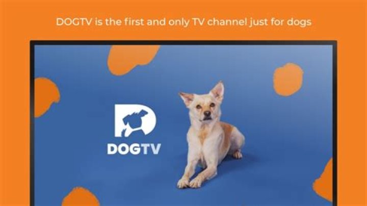 Does Comcast have a dog channel?