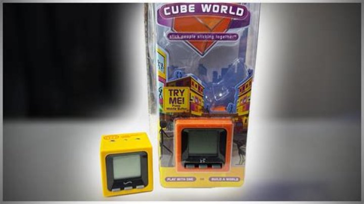 Does Cube World have multiplayer?