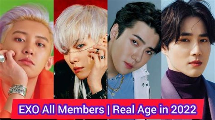 Does EXO have a TV show?