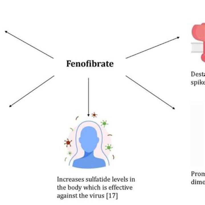 Does fenofibrate help with Covid 19?