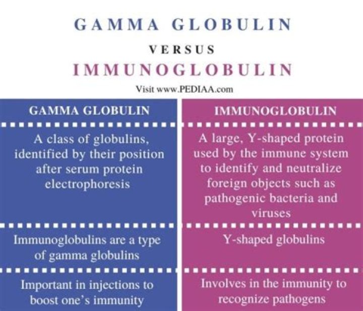 Does gamma globulin boost immune system?