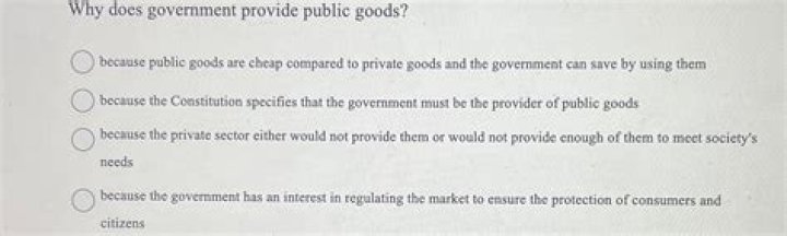 Does government provide private goods?