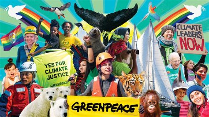 Does Greenpeace support whaling?