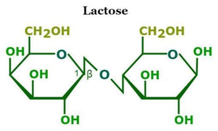 Does lactose have covalent bonds?