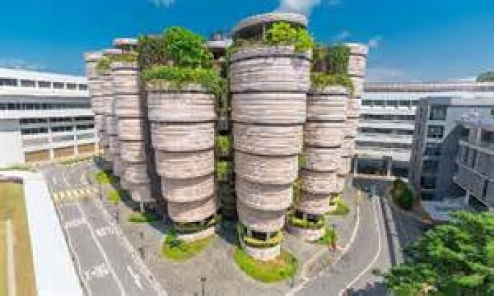 Does NTU have economics?