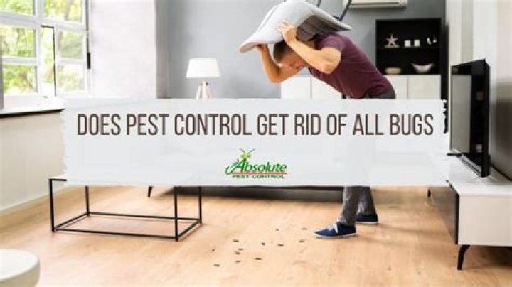 Does pest control Get rid of all bugs?