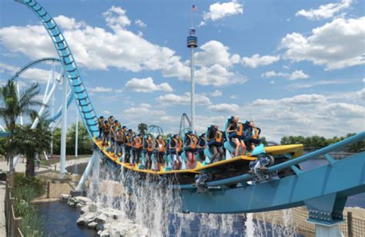 Does Sea World have rides for kids?