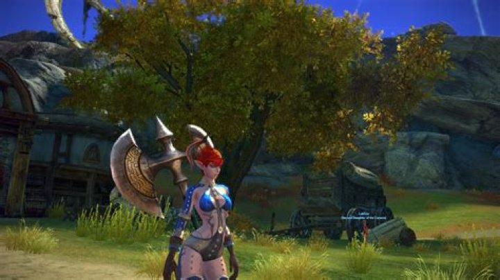 Does Tera require a good PC?
