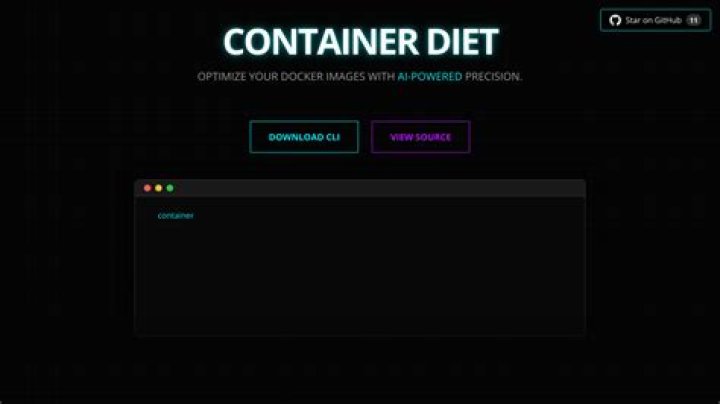 Does the container diet work?
