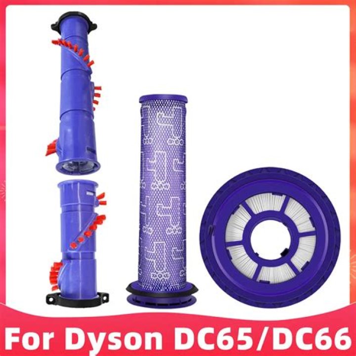 Does the Dyson DC65 have a filter?