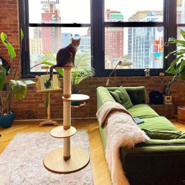 Does the frond cat tree have a platform?