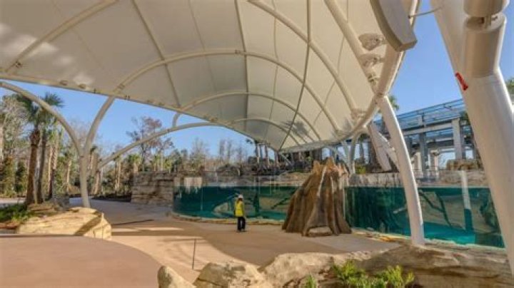 Does the Jacksonville Zoo have manatees?